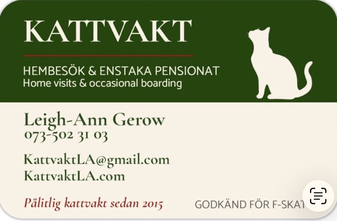 business card